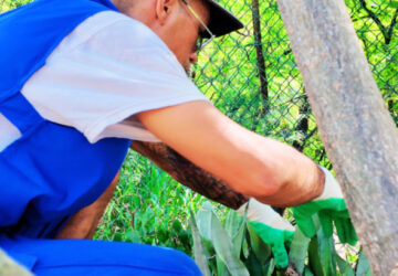 Ouvrier(ière) du Paysage (O.P.)